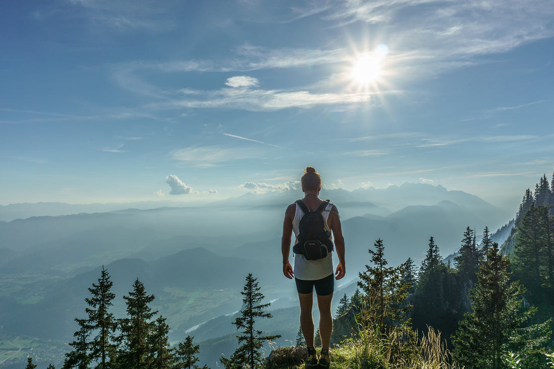 What is the Difference Between Prebiotics, Probiotics, and Postbiotics?