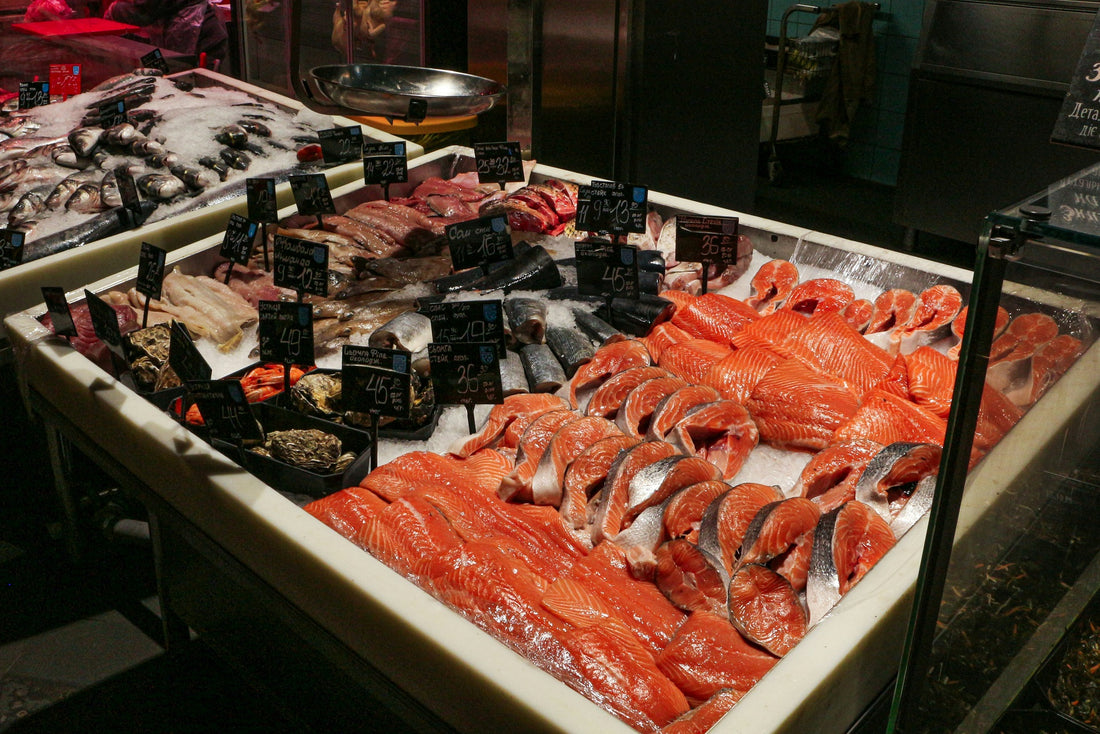  Fish High in Omega-3 
