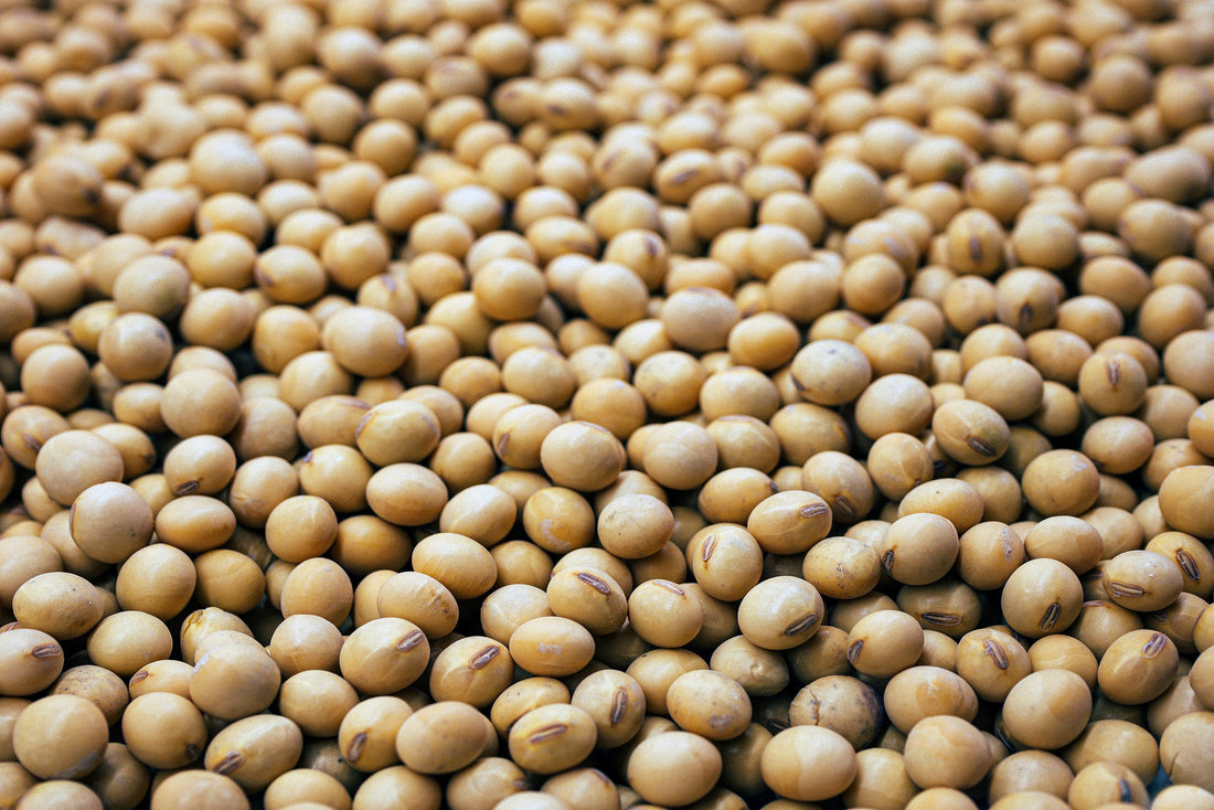 Why soybean-based foods are the best plant-based choice for you