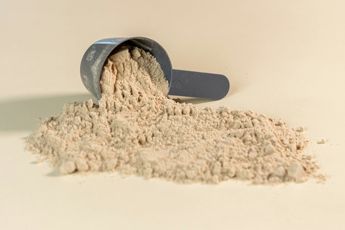 Zero Lactose Whey: How to Choose