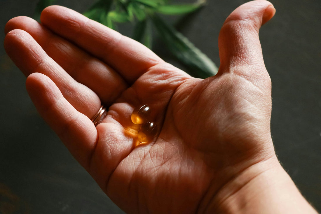 Alpha GFC (Chloline Alfoscerate) and its benefits