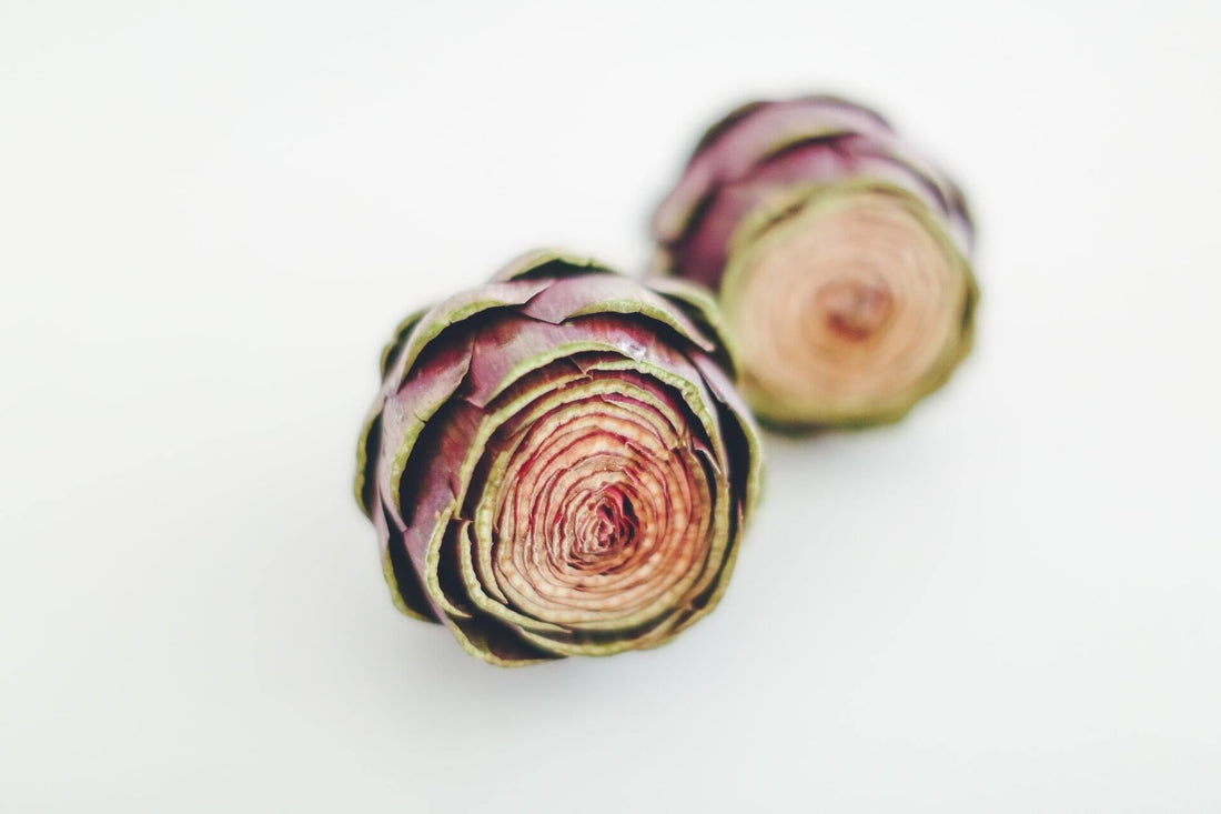 Artichoke vegetable