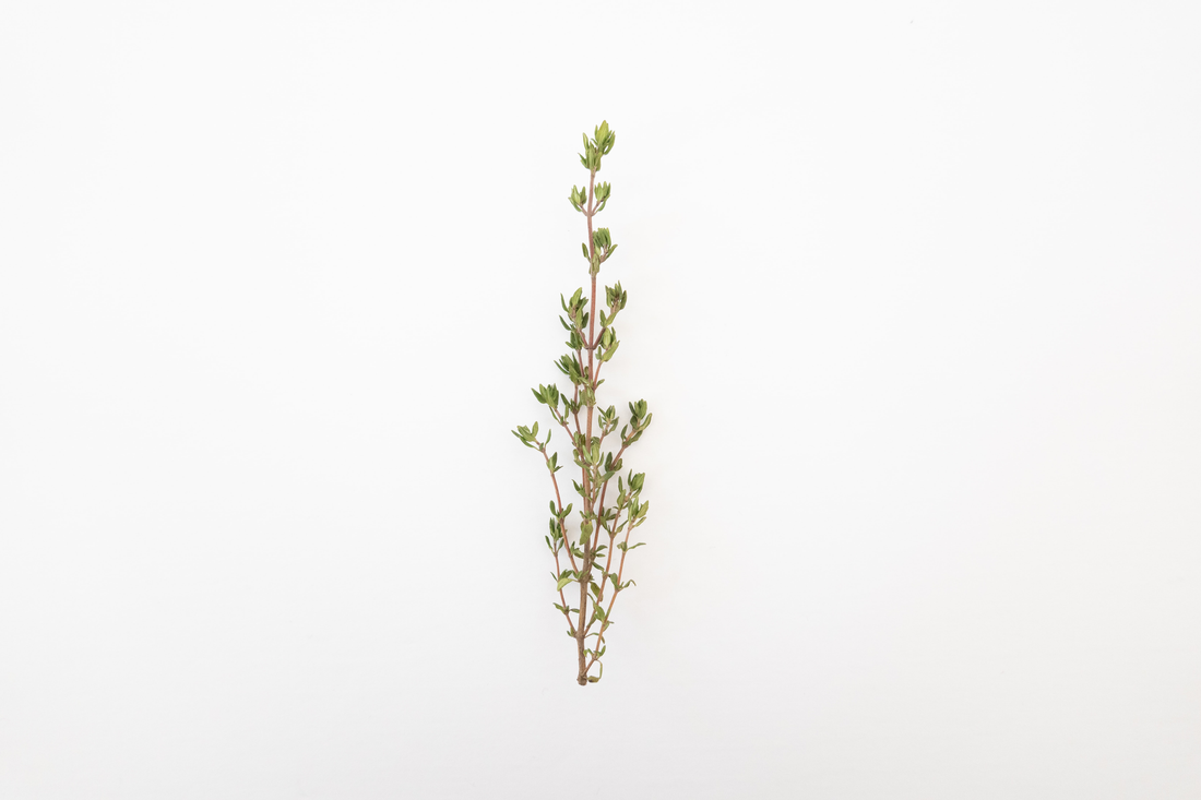 ashwagandha plant and thyroid