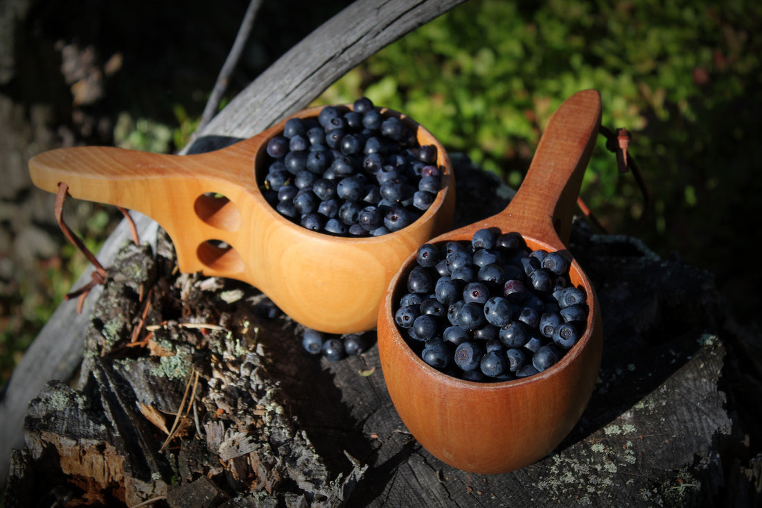 Bilberry Extract for Glaucoma