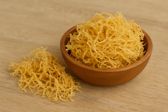 Is Sea Moss a Multivitamin? What This Superfood Really Offers