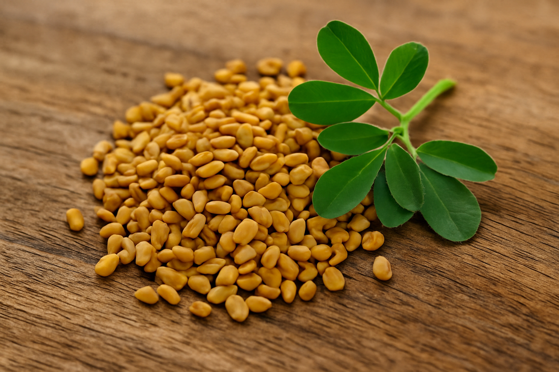 Fenugreek Tea vs. Capsule