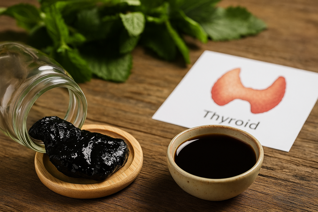 Shilajit and Hashimoto’s: Can This Ancient Resin Support Thyroid Health?