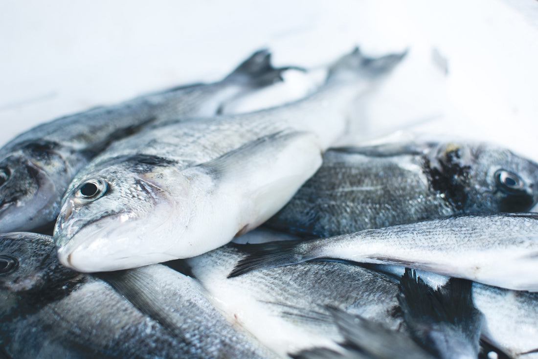 Fish Oil for Skin Health