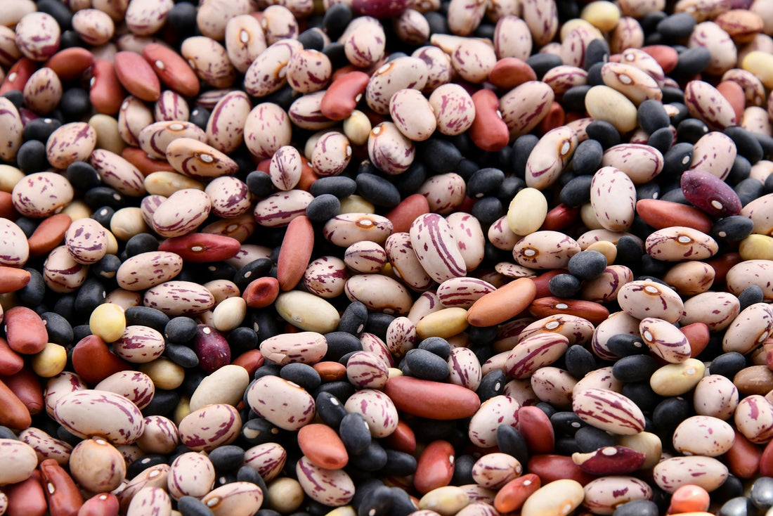 Legumes: What it is and its benefits