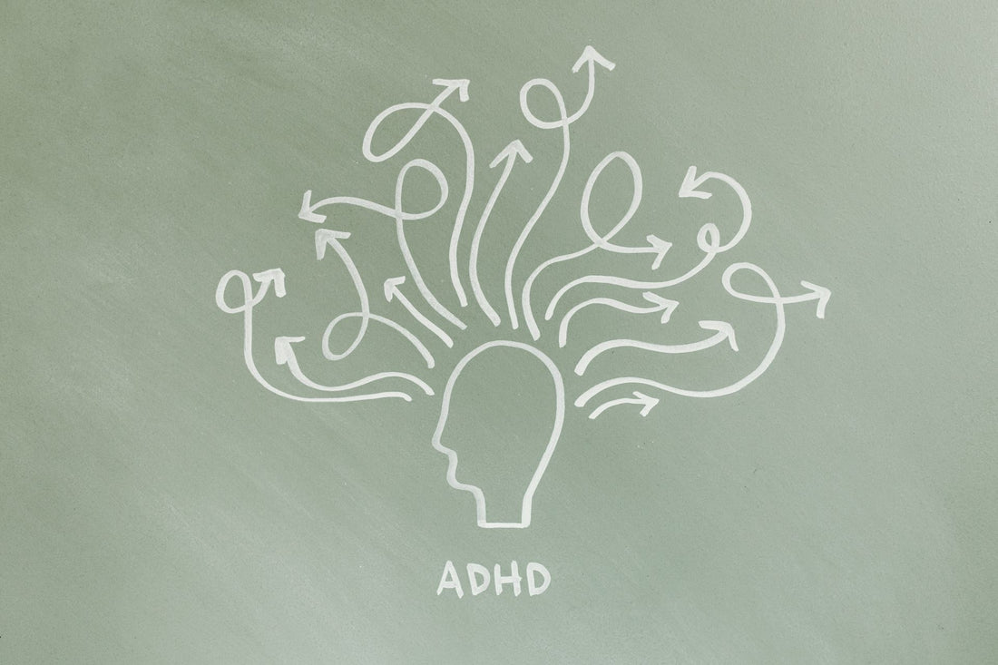 Lions mane and adhd