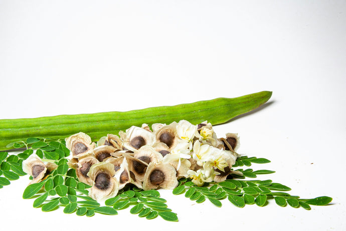 Things you should know about Moringa