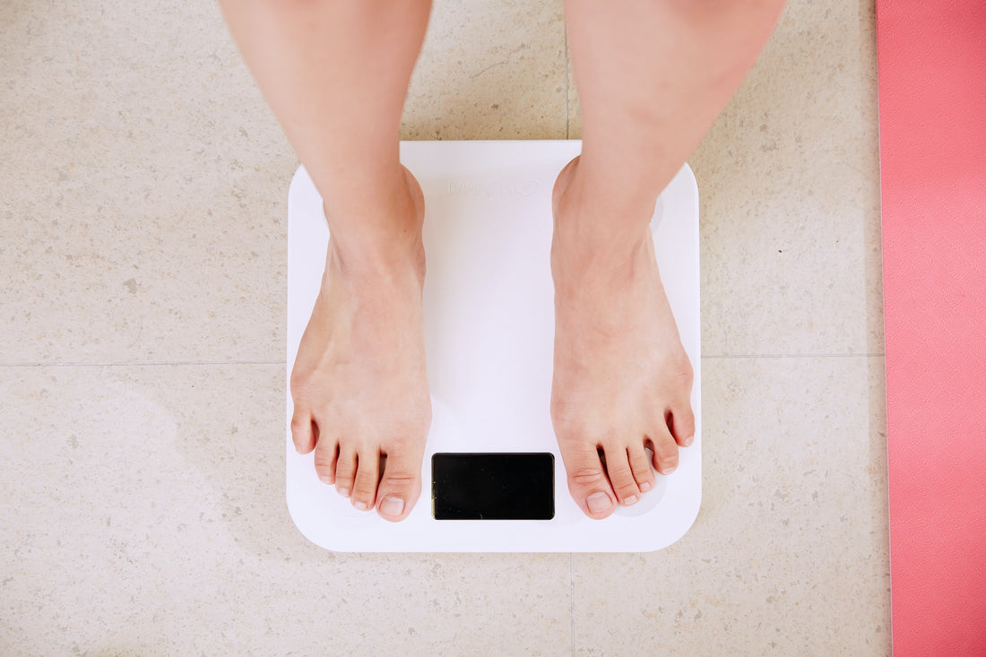 Pea Protein Powder for Weight Loss