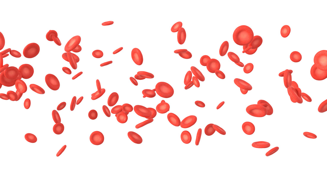 serrapeptase for blood clots
