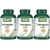 Astragalus 6000mg 180 Vegan Capsules