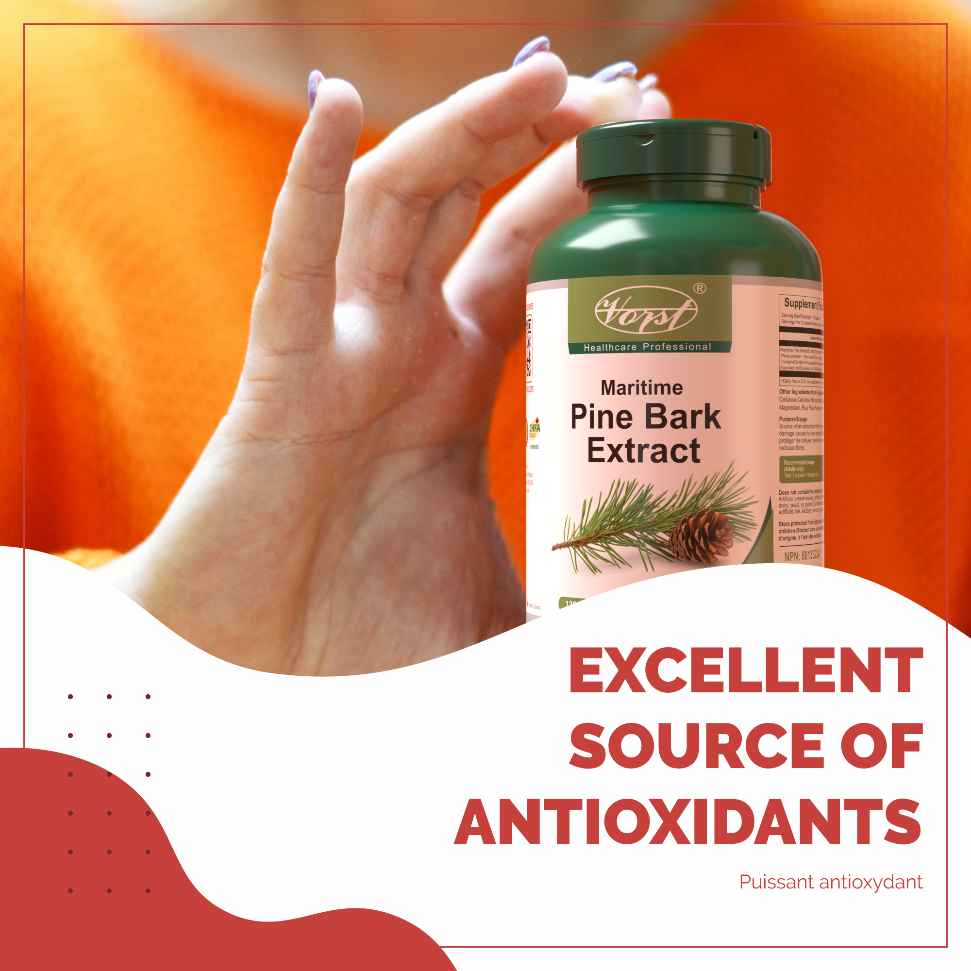 European Maritime Pine Bark 120 Vegan Capsules