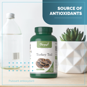 Turkey Tail | 180 Vegan Capsules | Mushroom Supplement