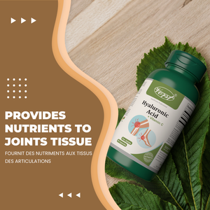 Benefits - Provides Nutrients to joints tissue