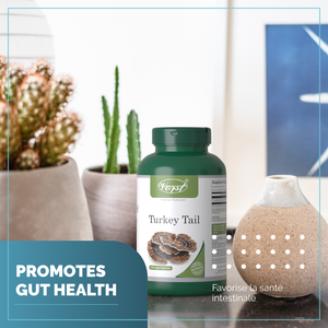 Turkey Tail | 180 Vegan Capsules | Mushroom Supplement