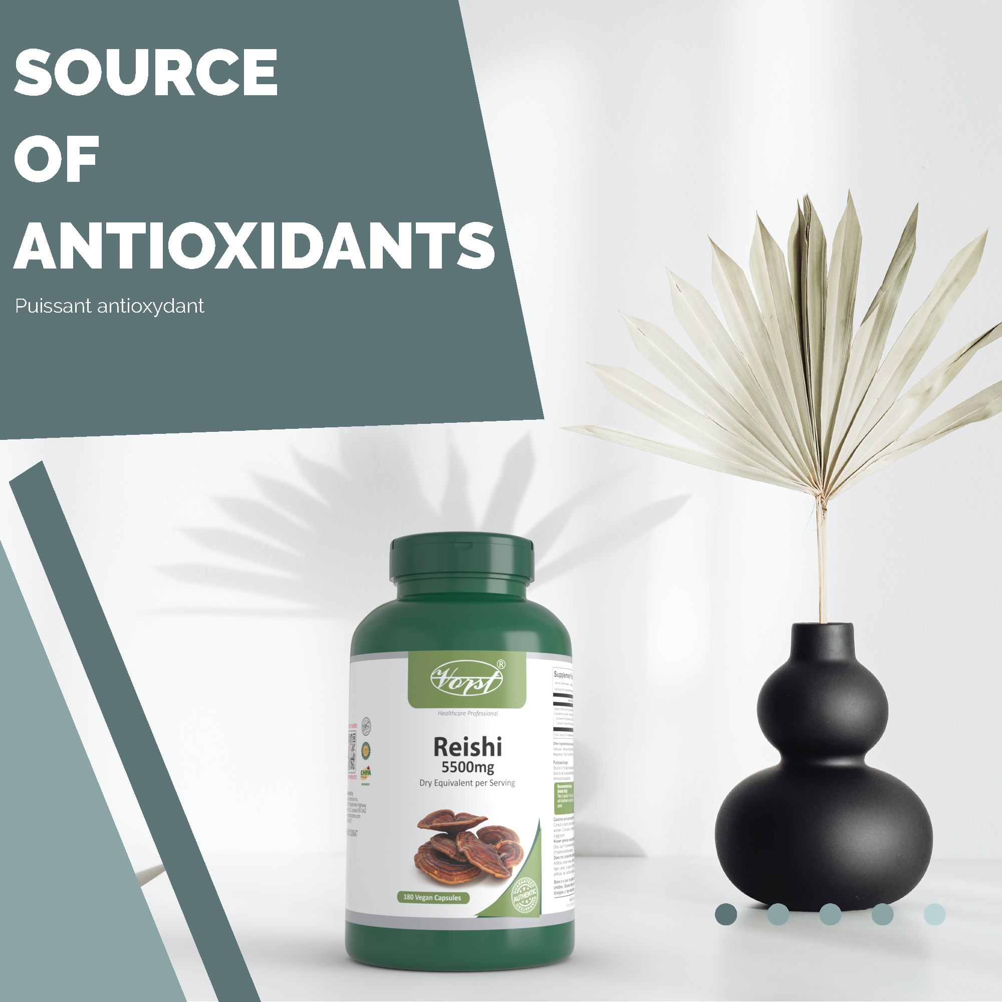 Reishi Mushroom Supplement 180 Vegan Capsules