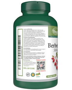 Berberine 120 Vegan Capsules | Supports Glucose Balance