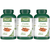 Ceylon Cinnamon 600mg Per Capsule 120 Vegan Capsules