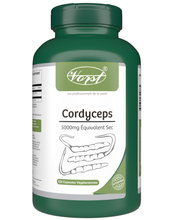 Load image into Gallery viewer, Cordyceps Sinensis 120 Vegan Capsules