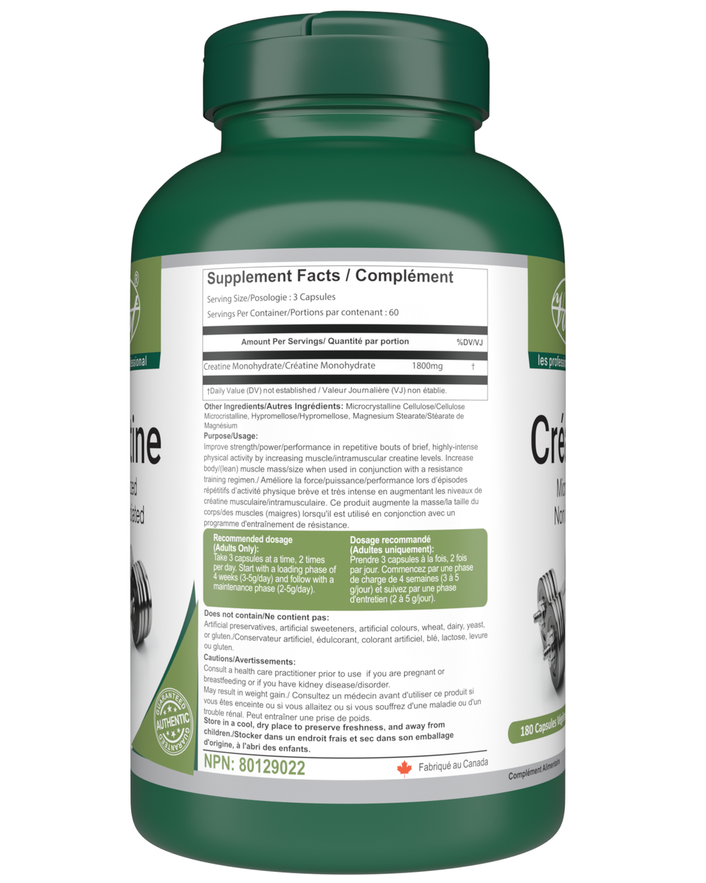 Creatine for Workout, Muscle