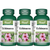 Echinacea 400mg 120 Capsules
