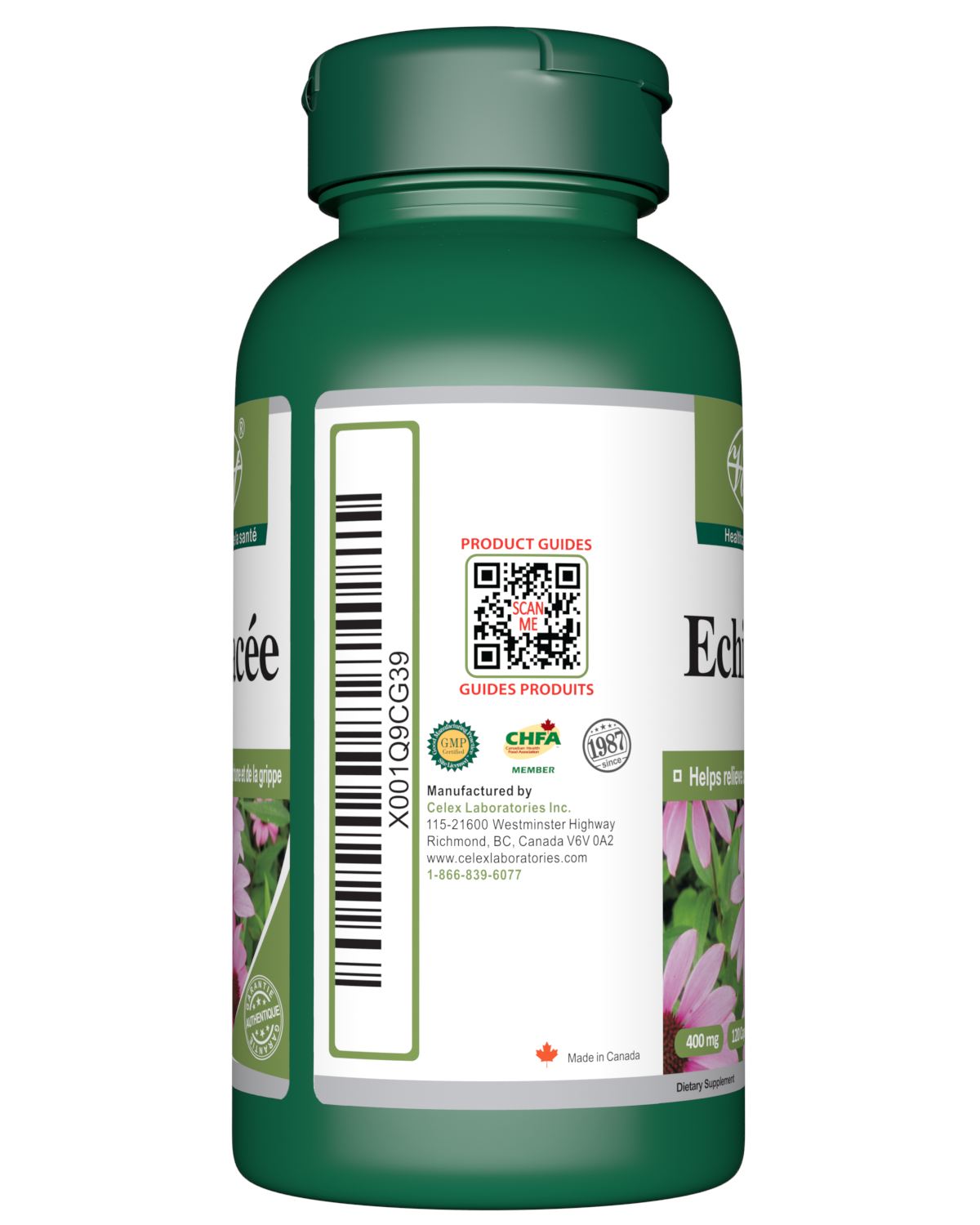 Echinacea for Immune Support