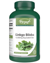 Load image into Gallery viewer, Ginkgo Biloba Extract 12,000mg Dry Equivalent 180 Vegan Capsules