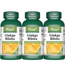 Load image into Gallery viewer, Ginkgo Biloba 60mg 90 Capsules