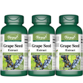 Grape Seed Extract 100mg 90 Capsules