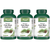 European Maritime Pine Bark 120 Vegan Capsules
