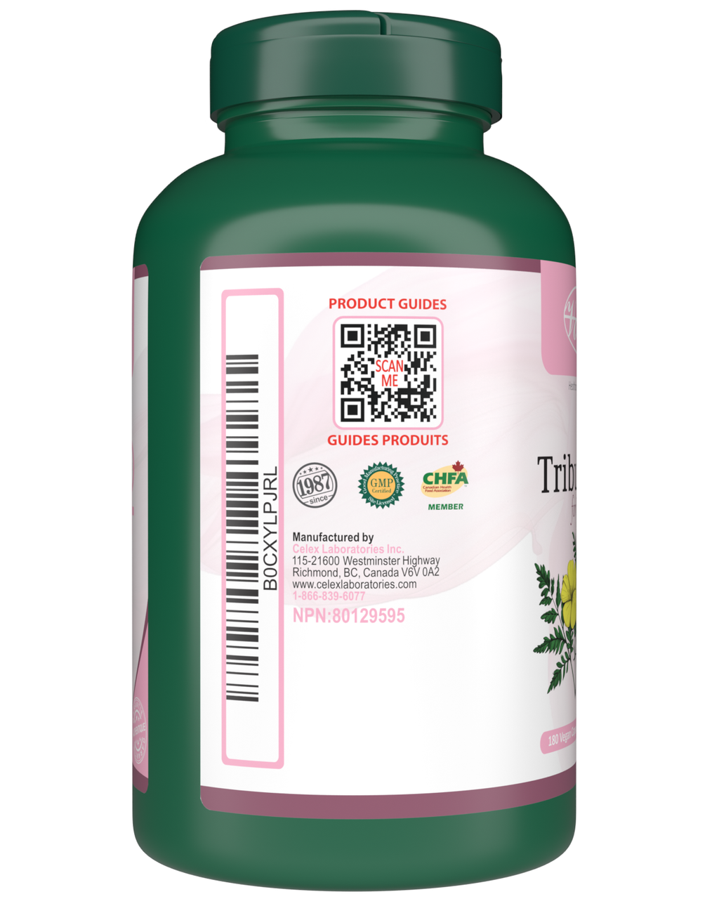 Tribulus for Women, Hormonal Balance