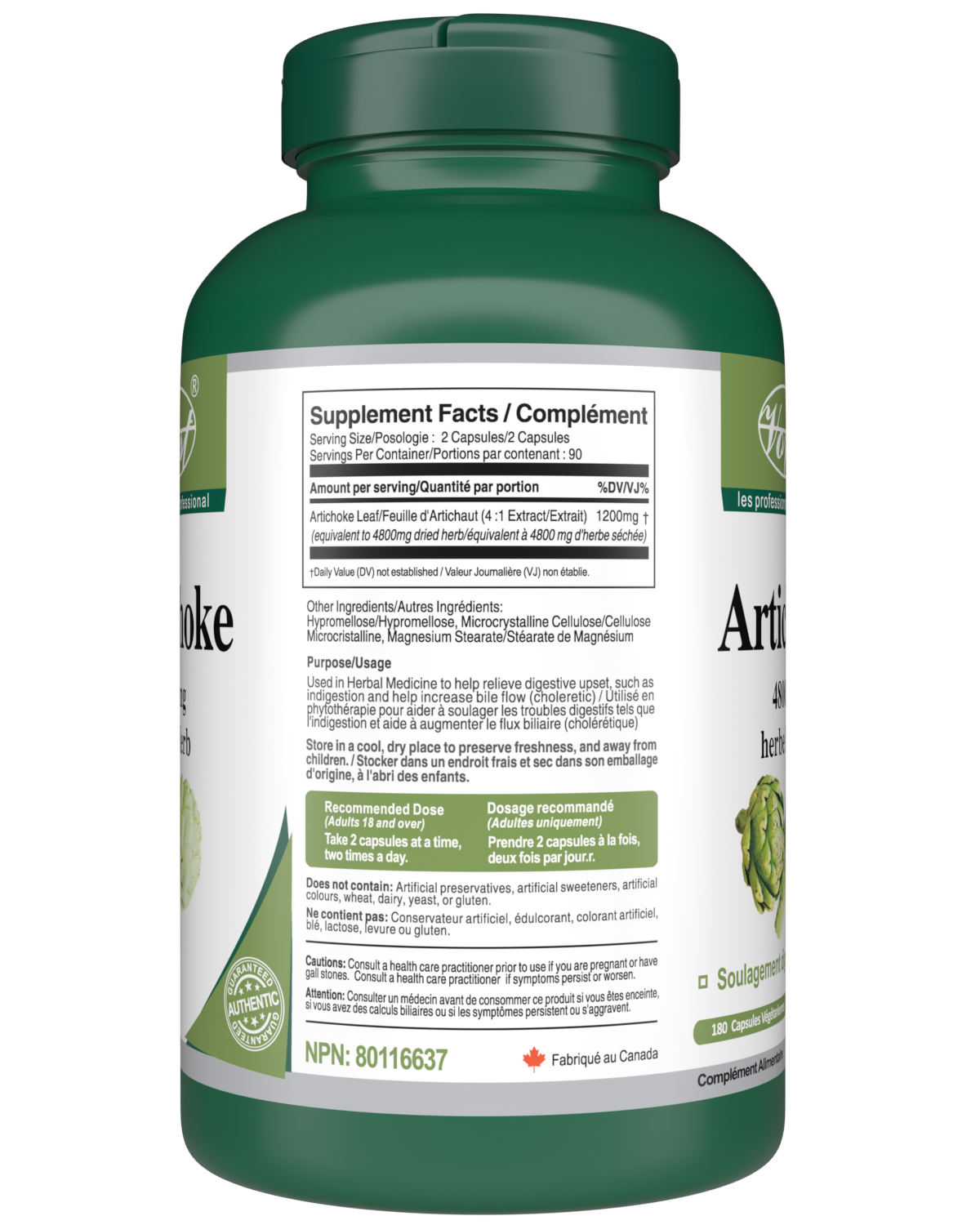 Artichoke for Digestive Relief