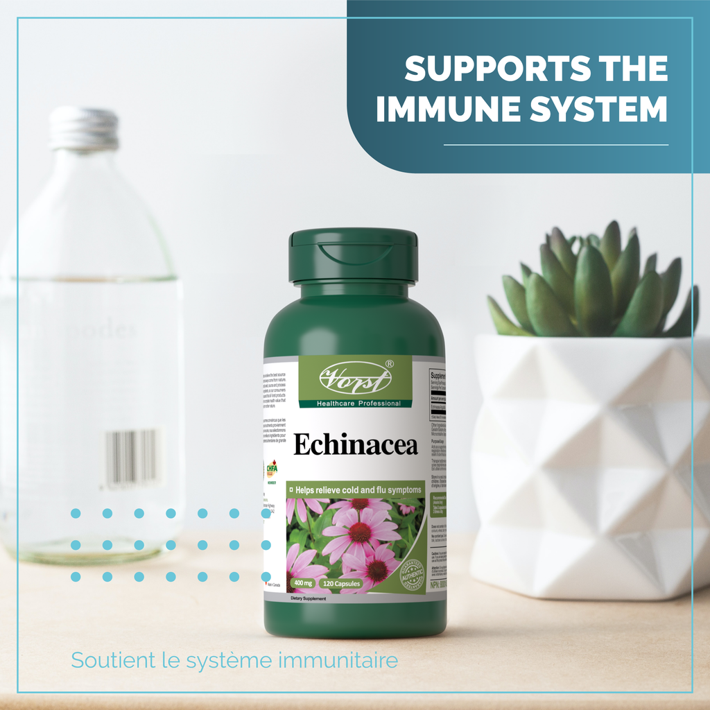 Echinacea for Immune Support