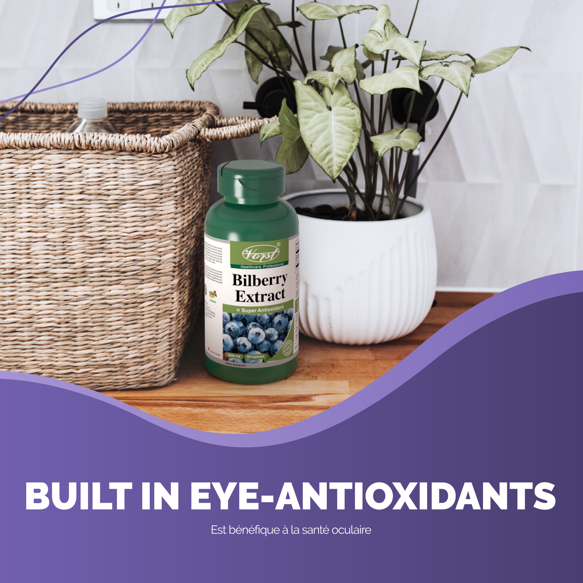 Bilberry Extract for Antioxidants for Eyes