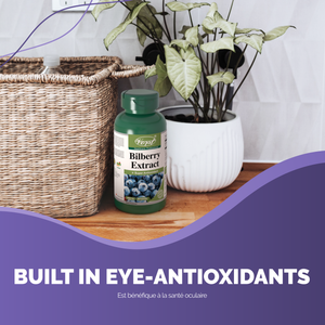 Bilberry Extract for Antioxidants for Eyes