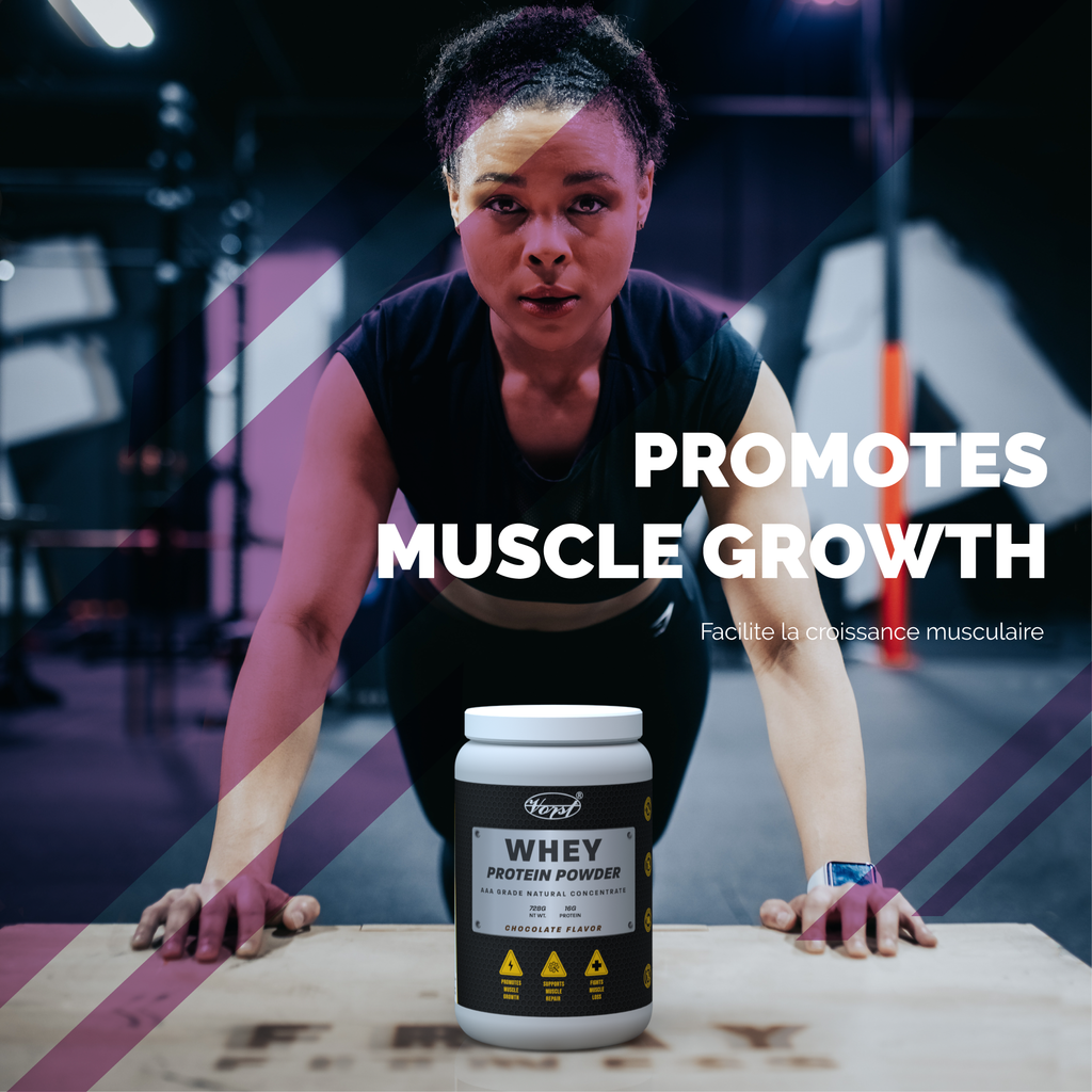 Whey Protein Powder Chocolate