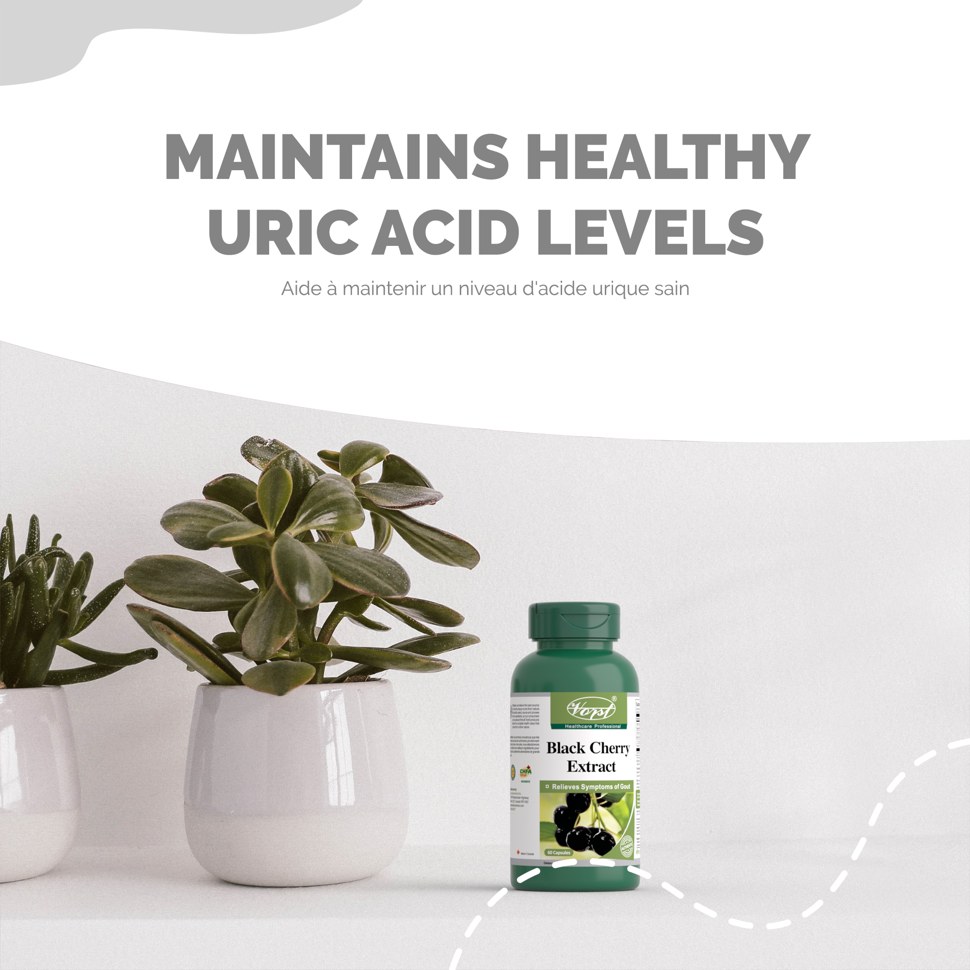 Black Cherry Extract for Healthy Uric Acid Levels