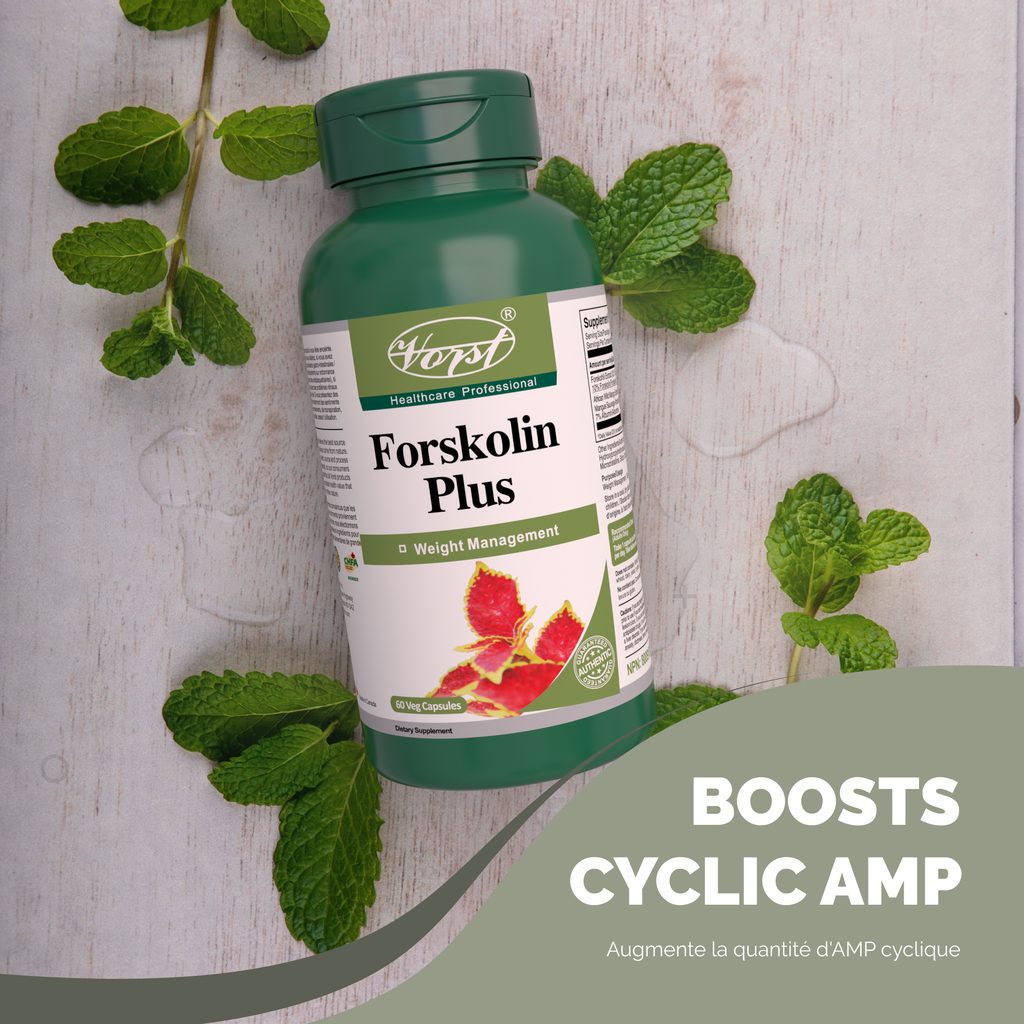 Forskolin Plus 150mg 60 Vegan Capsules With African Wild Mango