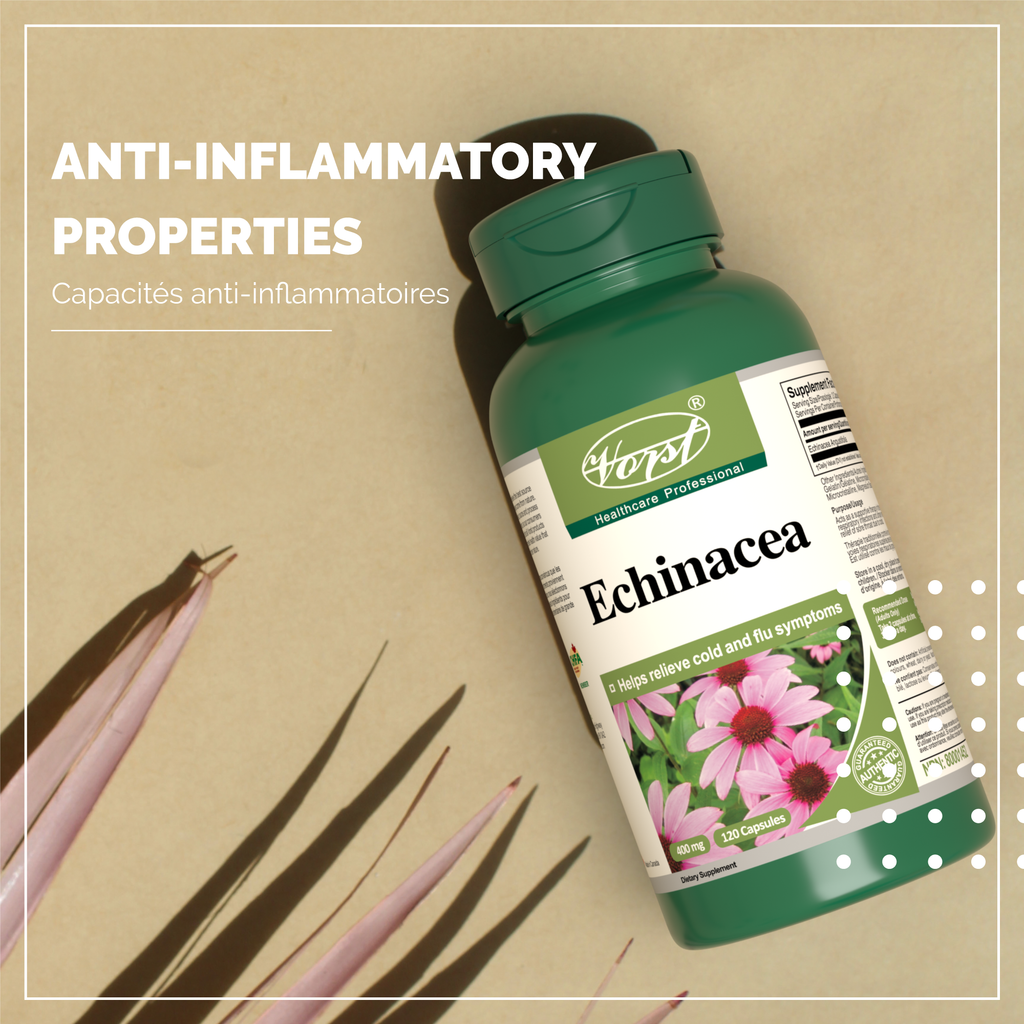 Echinacea for Immune Support