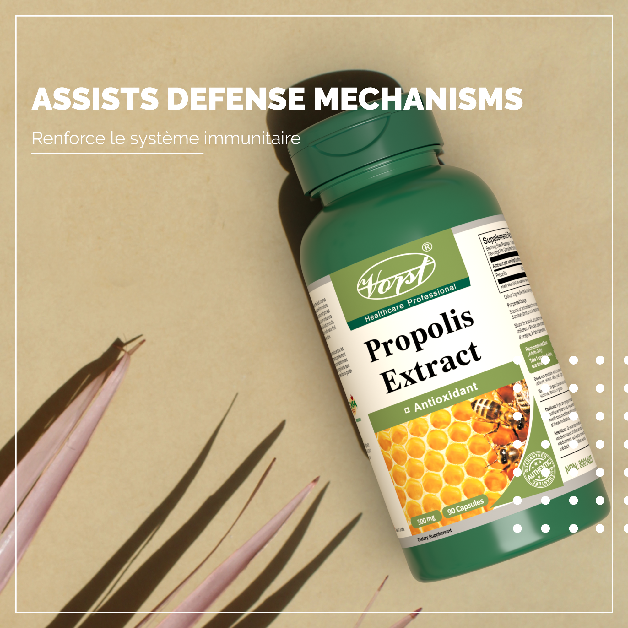 Bee Propolis Extract 500mg for Assisting Defense Mechanisms