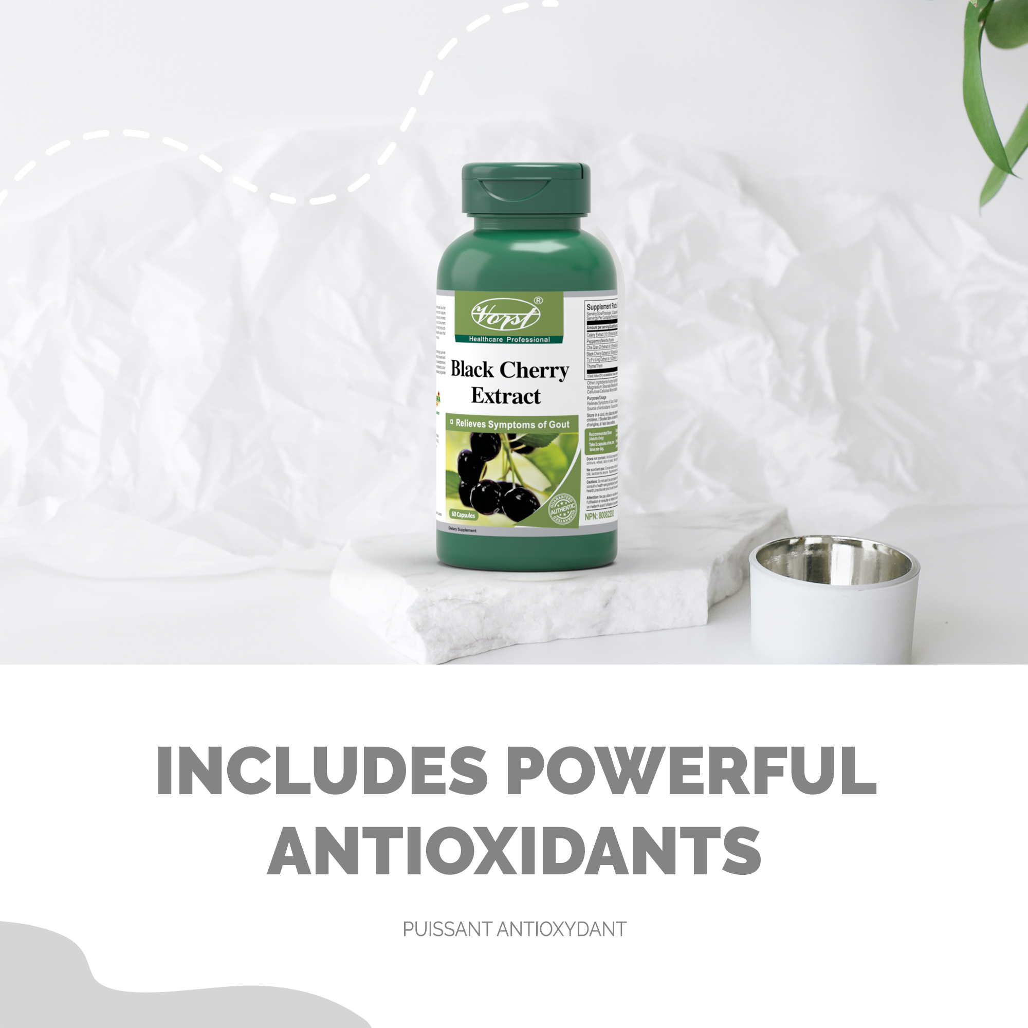 Black Cherry Extract for Powerful Antioxidants