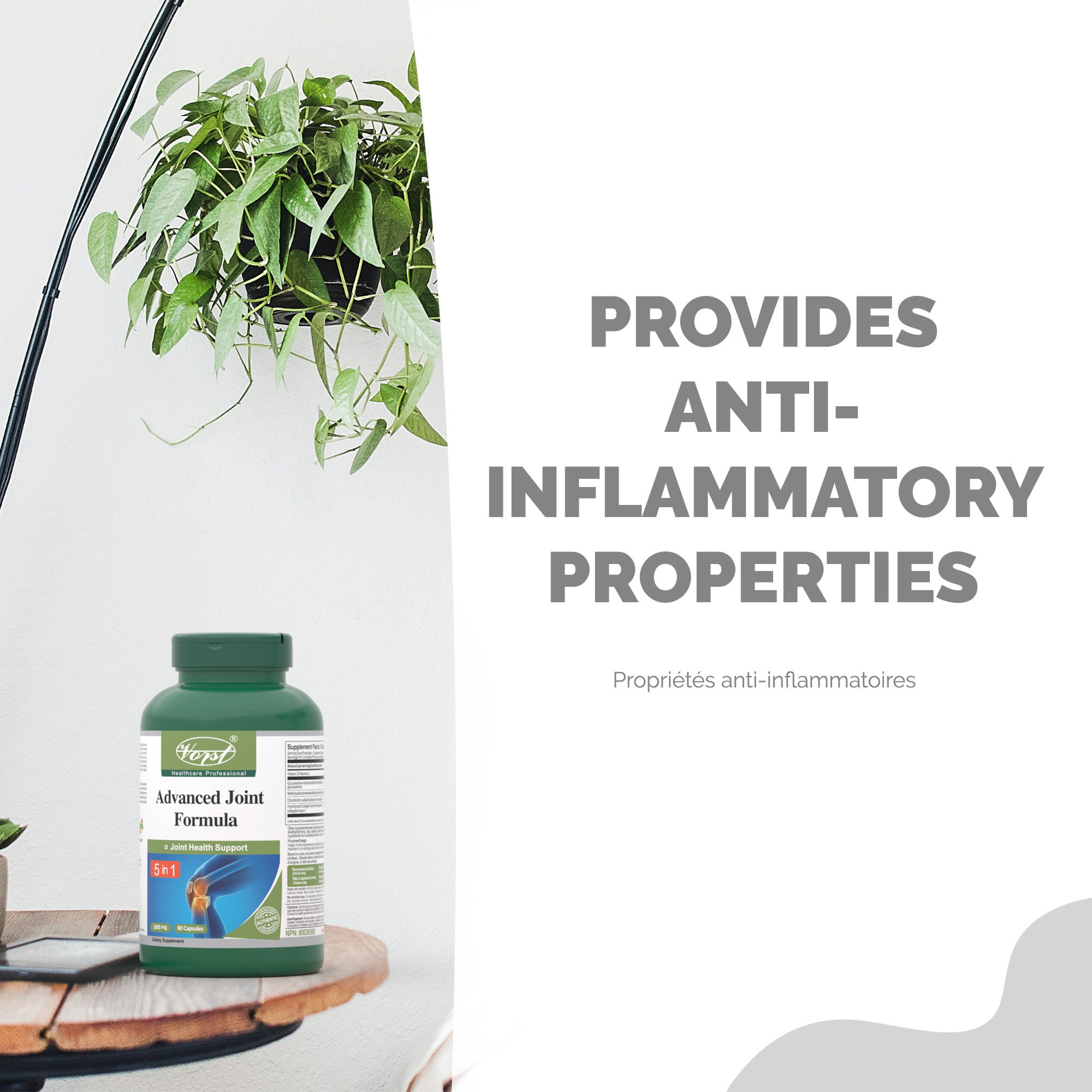 Glucosamine Chondroitin MSM Supplement for Anti Inflammation Benefit Photo