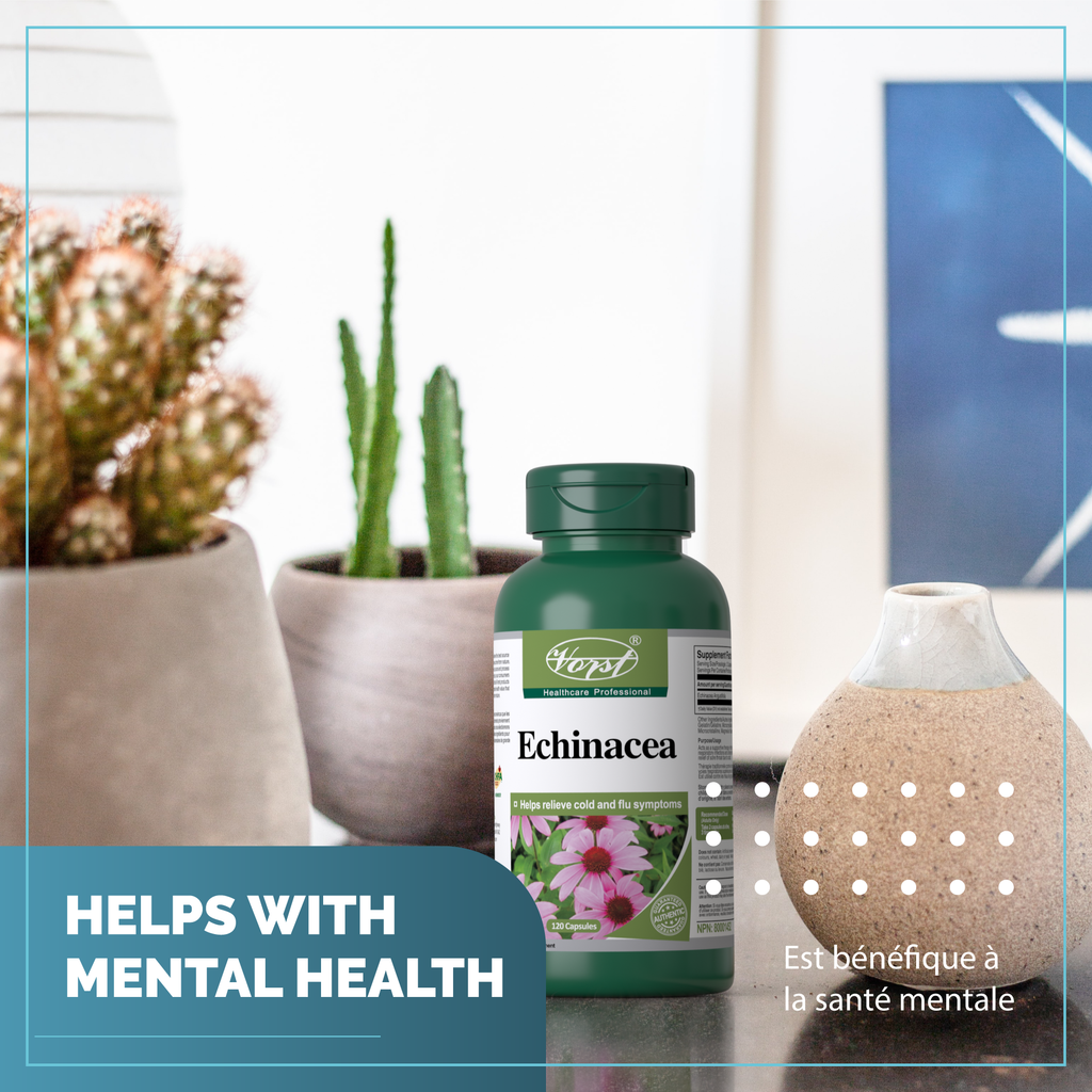 Echinacea for Immune Support