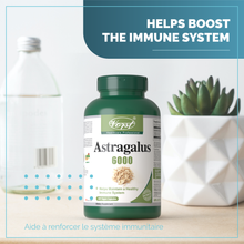 Load image into Gallery viewer, Astragalus 6000mg 180 Vegan Capsules Success Helps Boost The Immune System