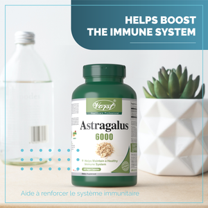 Astragalus 6000mg 180 Vegan Capsules Success Helps Boost The Immune System