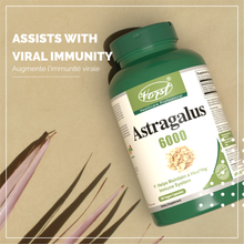 Load image into Gallery viewer, Astragalus 6000mg 180 Vegan Capsules Assists with Viral Immunity