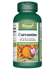 Load image into Gallery viewer, Curcumin Extract 600mg 90 Capsules